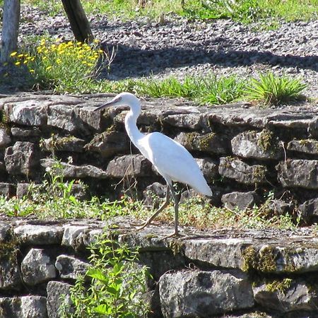 River Cottage Balledent 외부 사진