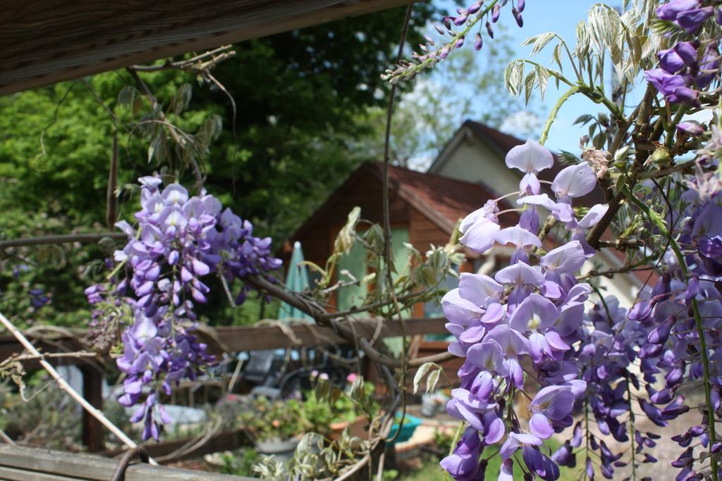River Cottage Balledent 외부 사진